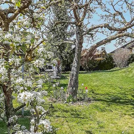 Ferienwohnungen Am Hasenweg روهستورف المظهر الخارجي الصورة